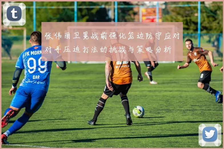 张伟丽卫冕战前强化笼边防守应对对手压迫打法的挑战与策略分析